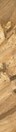 Textured gold paint surface with visible brush marks and layered strokes.