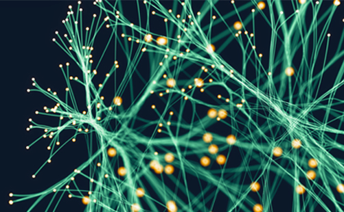 MIcompany Data and AI