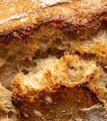 Associated British Foods Bread Image