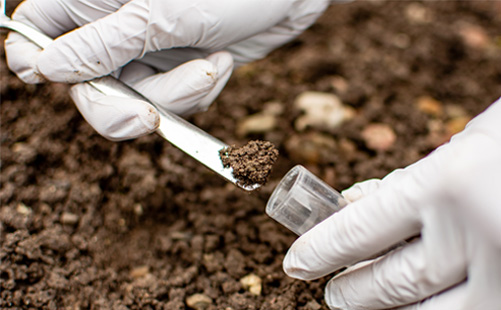 Enitial Environmental Image