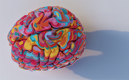 Brain depicting mental health